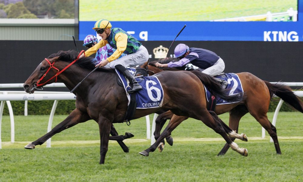 更全面的前 更全面的前